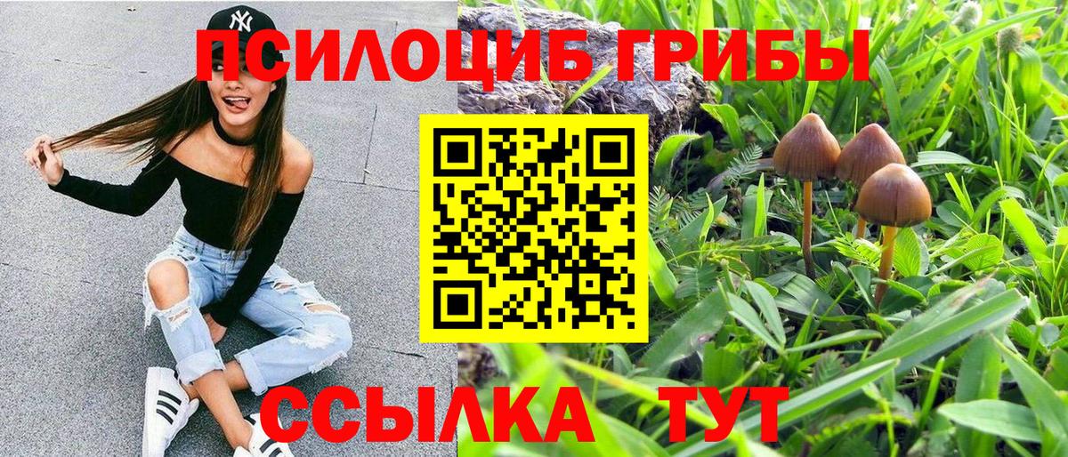 Псилоцибиновые грибы GOLDEN TEACHER Лобня