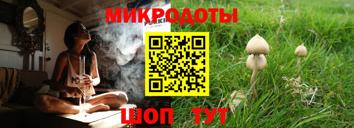 Галлюциногенные грибы Cubensis  Вход с VPN  Лобня 
